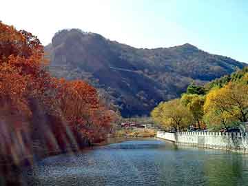 正新澳门二四六天天彩，仙骨风流